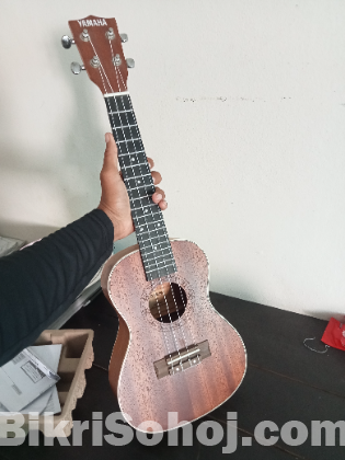 ukelele yamaha 24